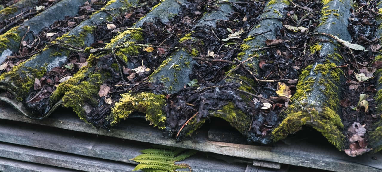 Asbestos – A Guide To Help You Dispose Of It Safely In London