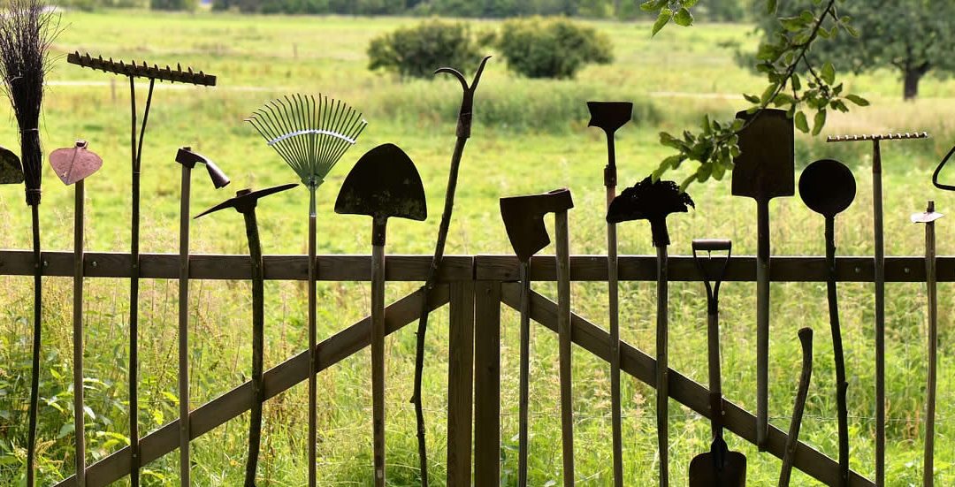 Garden Clearance FAQs