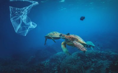 Ocean plastic pollution could nearly triple by 2040