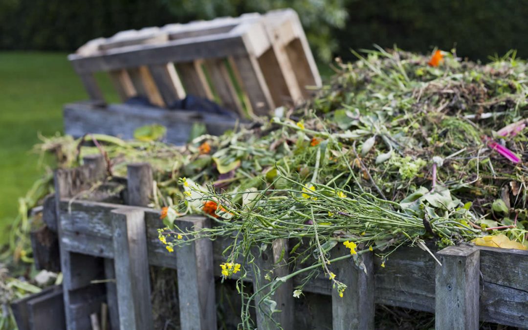 It’s time to prepare your garden for winter
