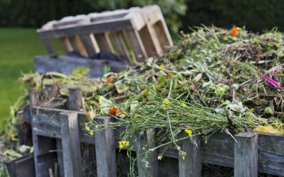 It’s time to prepare your garden for winter